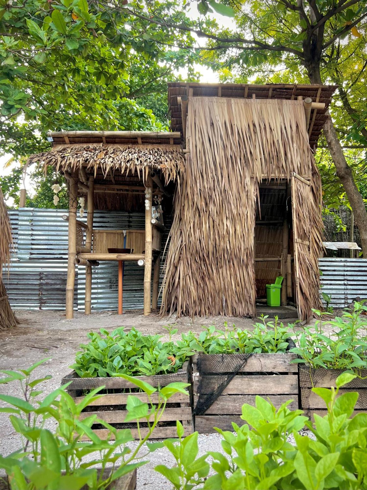 Daanbantayan Tribal Huts Community旅舍 客房 照片