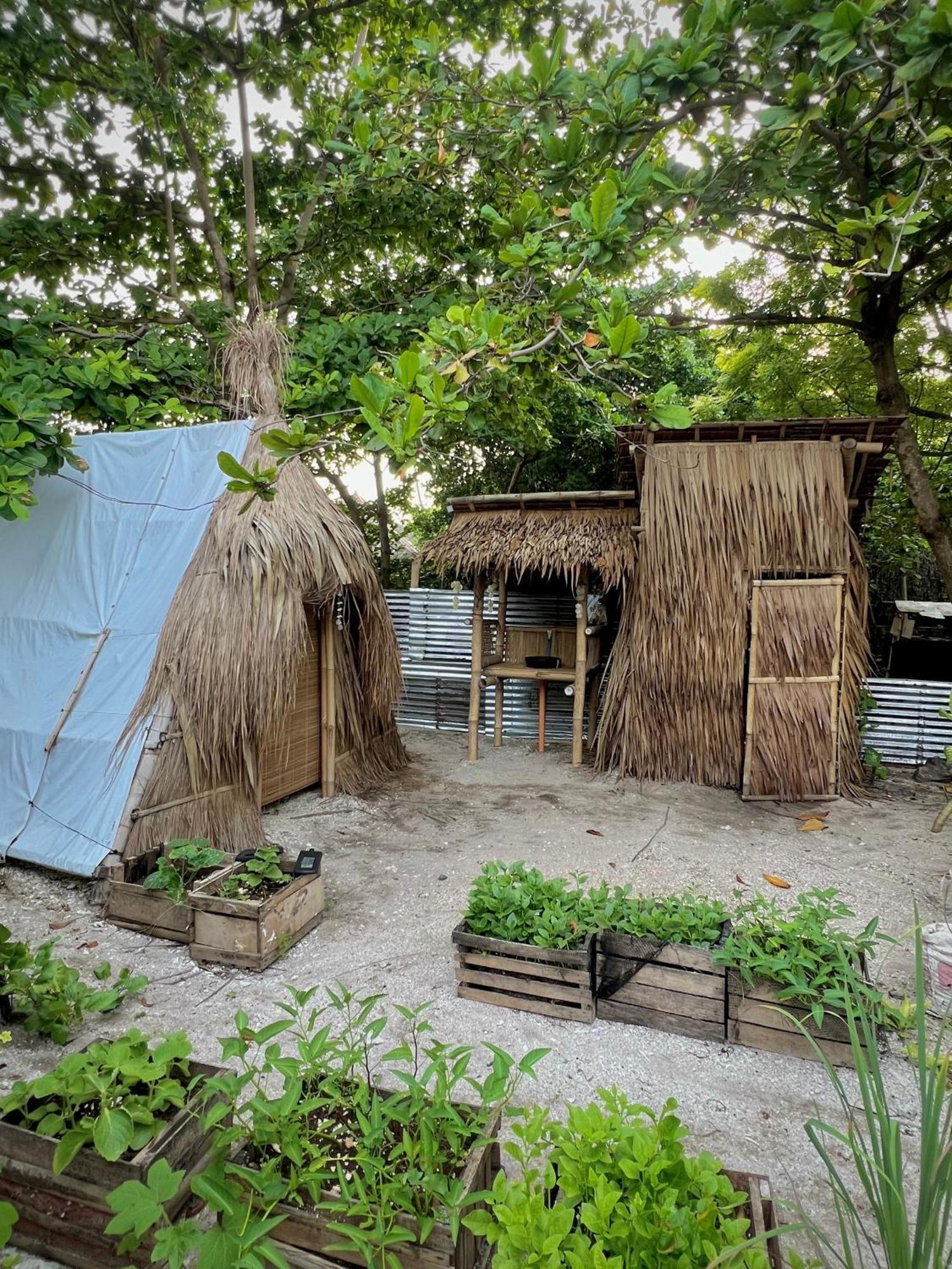 Daanbantayan Tribal Huts Community旅舍 外观 照片