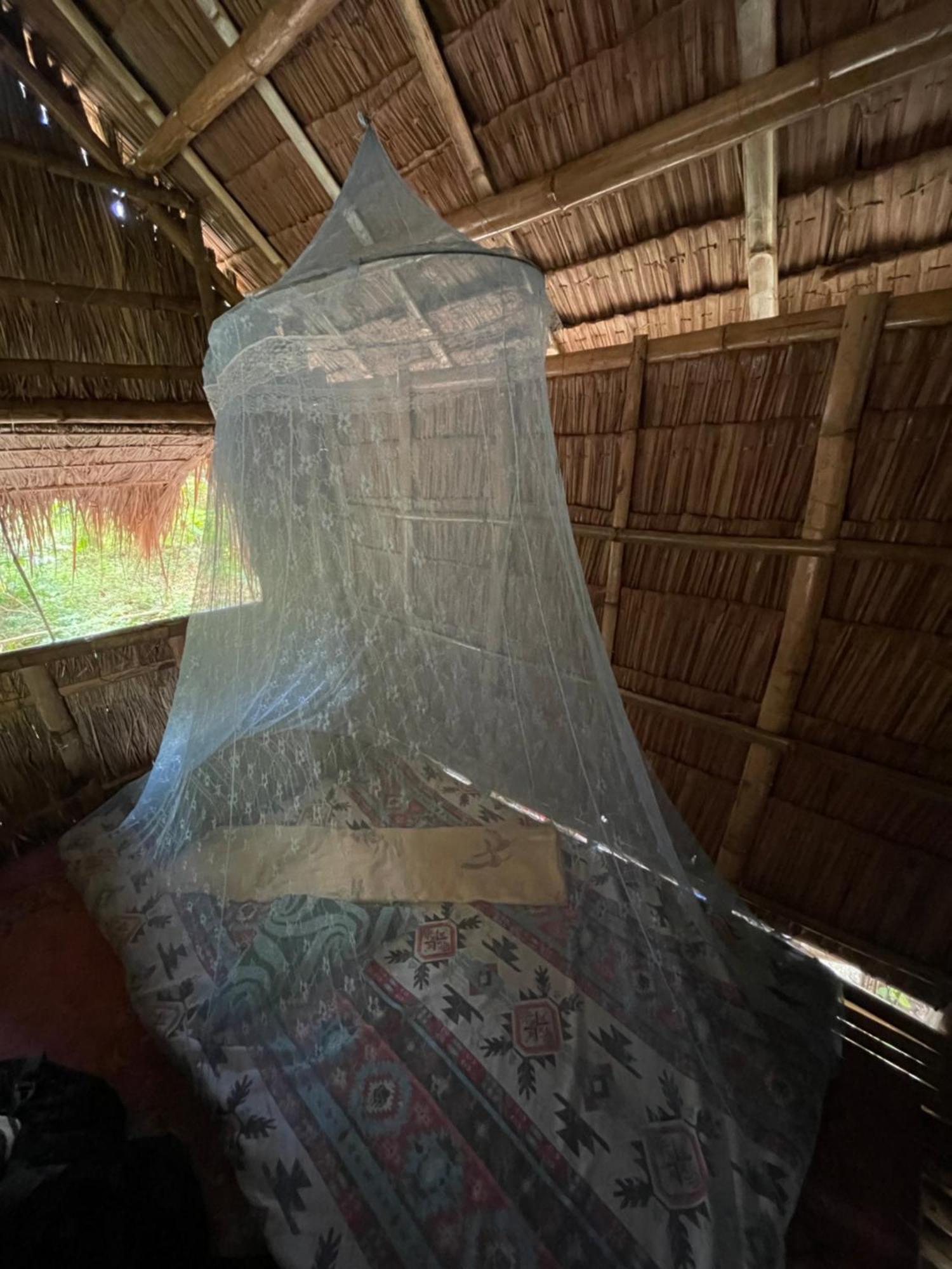 Daanbantayan Tribal Huts Community旅舍 客房 照片